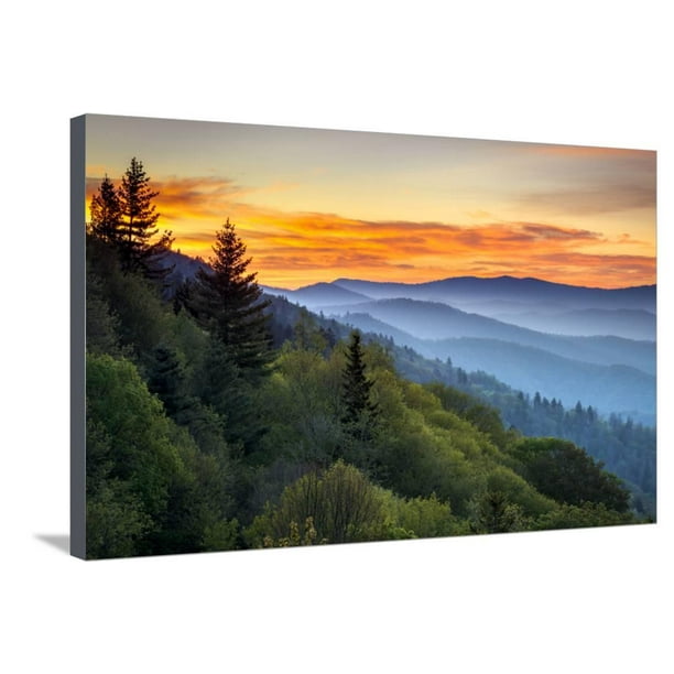 Retro Blue Orange Forest Sunrise Portrait Scenic Canvas Framed Art Picture